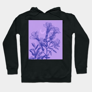 Luna | Dark Purple Version Hoodie